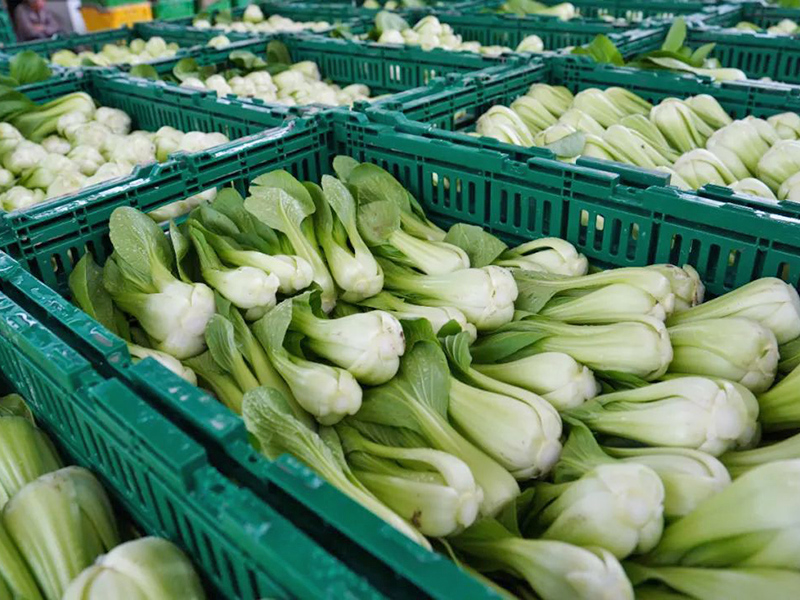 塑料周轉筐應（yīng）用於超市菜